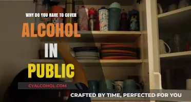 Concealing Alcohol in Public: Social Sensitivity and Safety