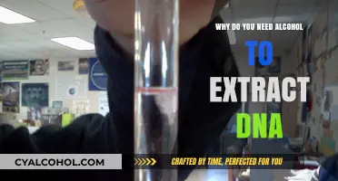Why Alcohol is Essential for Effective DNA Extraction: A Guide