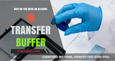 Alcohol's Role in Transfer Buffers: Enhancing Efficiency
