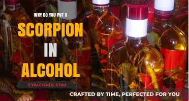 Scorpion in Alcohol: Unveiling the Science and Cultural Significance