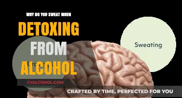 Sweating During Alcohol Detox: Causes, Benefits, and Coping Strategies
