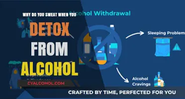 Detoxing from Alcohol: Understanding the Sweating Phenomenon