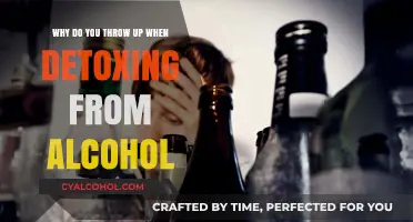 Alcohol Detox: Why Does It Make You Vomit?
