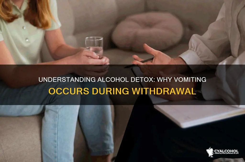 why do you vomit when detoxing from alcohol