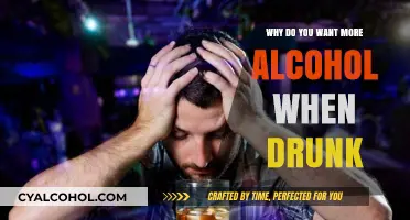 Why Drunk Brains Crave More Alcohol: Unraveling the Intoxication Cycle