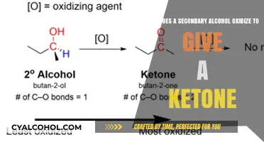 Understanding Secondary Alcohol Oxidation and Ketone Formation