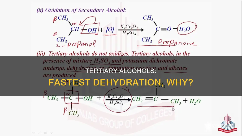 why does a tertiary alcohol undergo dehydration the fastest