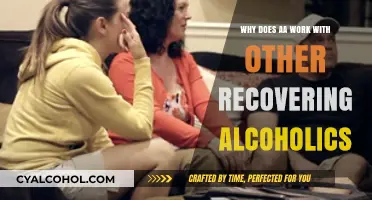 Why AA's Peer Support System Works for Recovering Alcoholics
