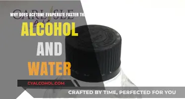 How Does Acetone Evaporate So Quickly?
