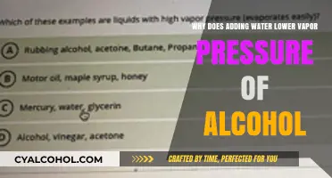 How Water Affects Alcohol Vapor Pressure