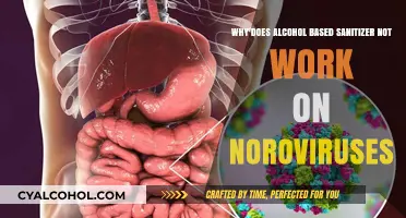Alcohol-Based Sanitizers: Ineffective Against Norovirus