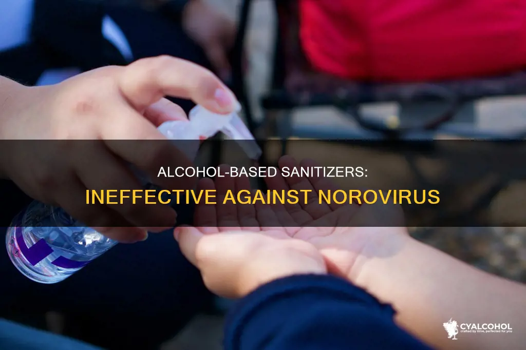 why does alcohol based sanitizer not work on noroviruses