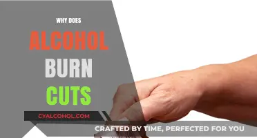 Why Alcohol Stings Cuts: The Science Behind the Burning Sensation