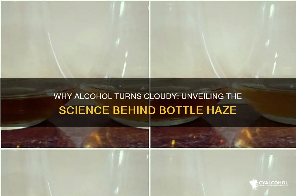 why does alcohol cloud up in a bottle