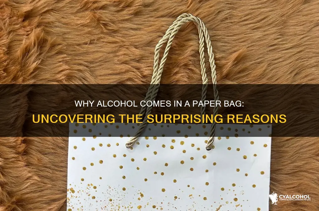 why does alcohol come in a paper bag