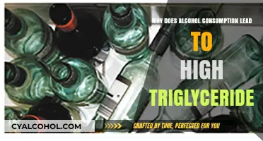 How Alcohol Triggers High Triglycerides: Uncovering the Hidden Link