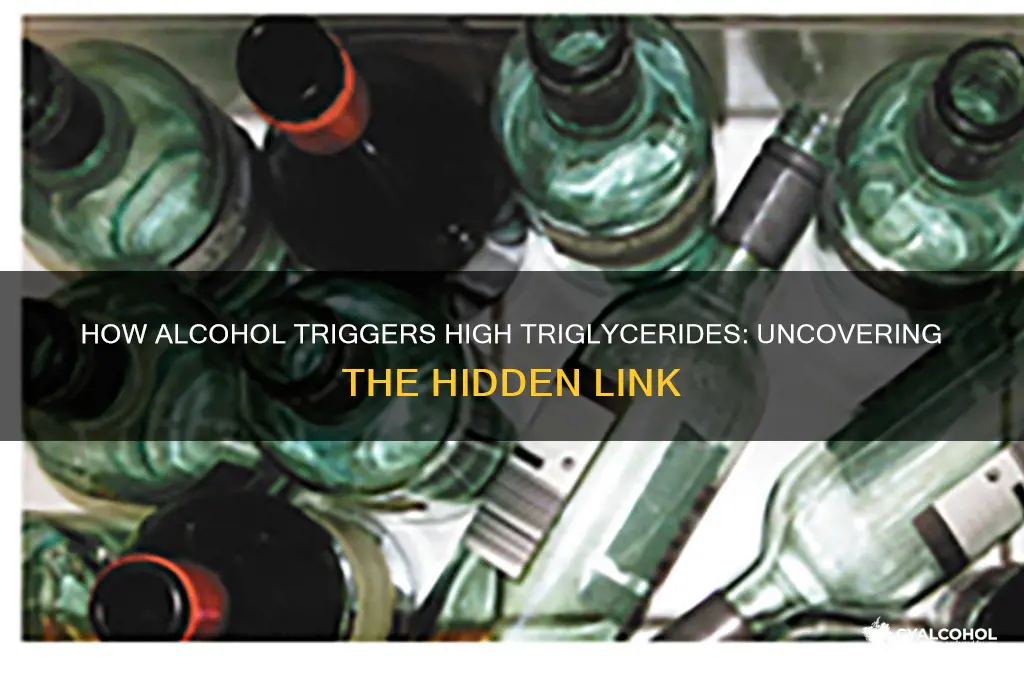 why does alcohol consumption lead to high triglycerides