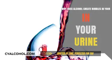 Alcohol's Bubbles in Urine: Why?