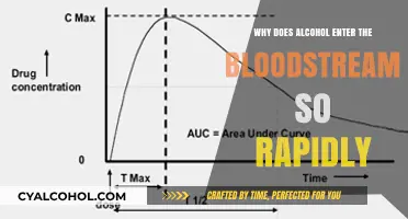 How Alcohol Quickly Enters Your Bloodstream: The Science Explained
