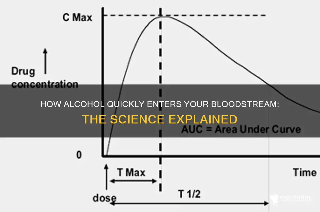 why does alcohol enter the bloodstream so rapidly