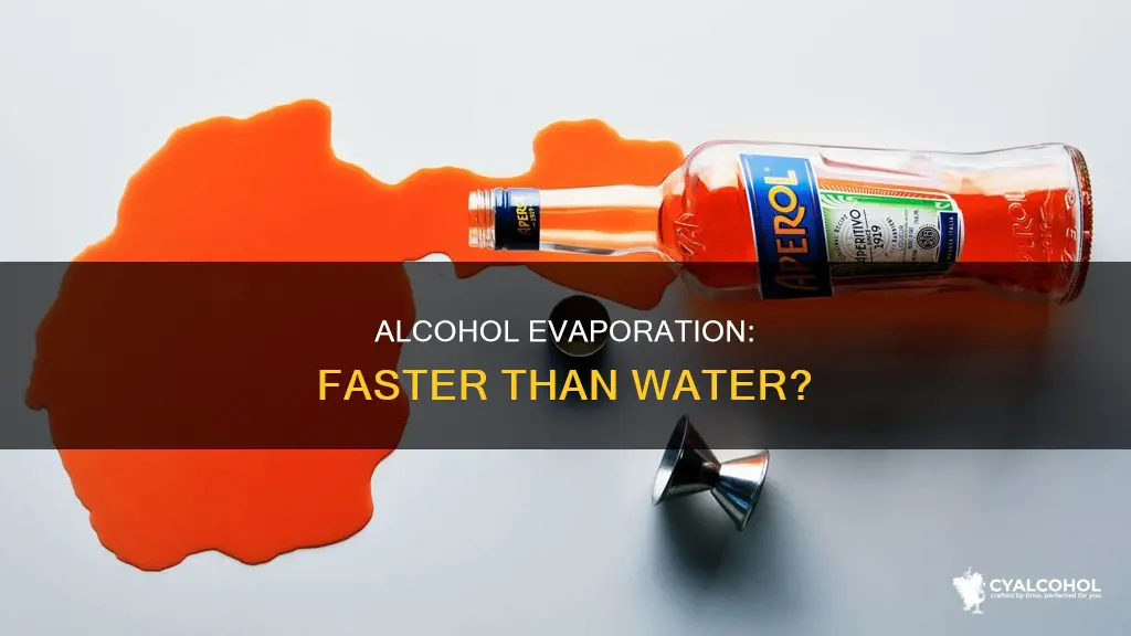 why does alcohol evaporate faster than water at room temperature