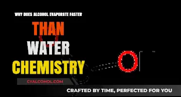 Why Alcohol Evaporates Faster Than Water: Chemistry Explained