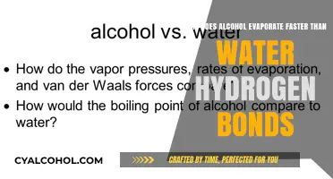 Alcohol Evaporation: Hydrogen Bonds vs Water