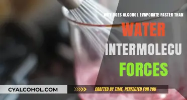 Alcohol Evaporation: Intermolecular Forces at Play