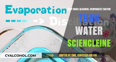 Why Alcohol Evaporates Faster Than Water: Unraveling the Science