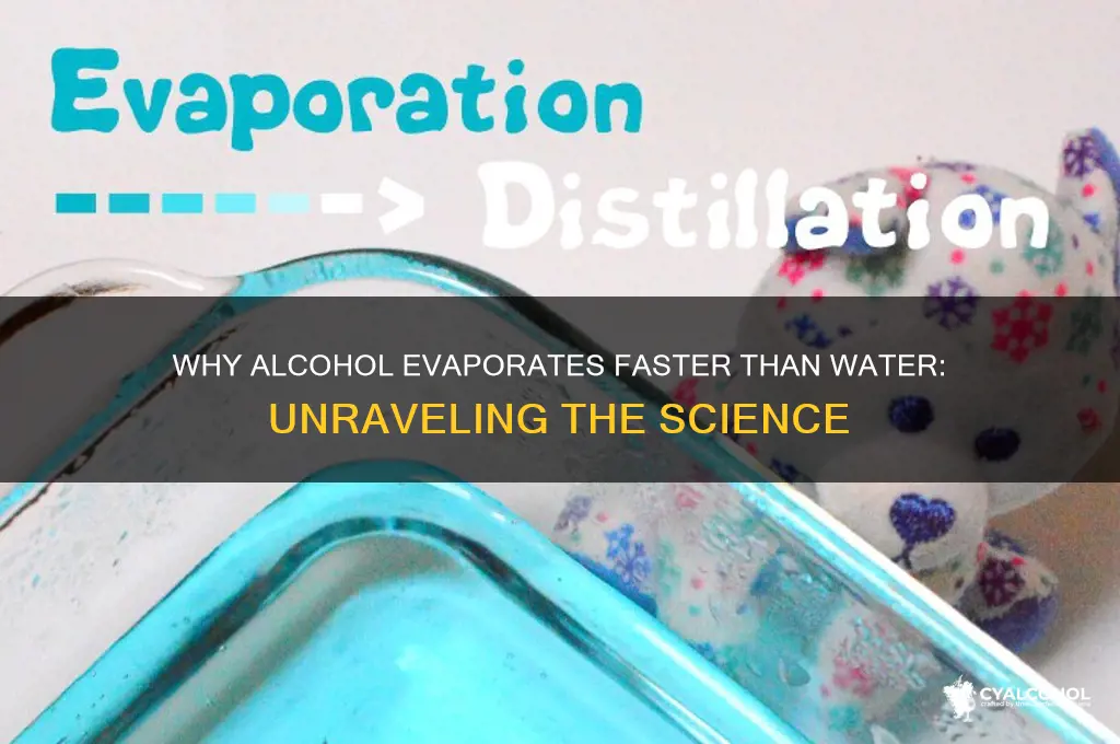 why does alcohol evaporate faster than water sciencleine