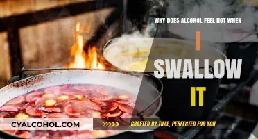 How Alcohol Burns: The Science Behind the Heat