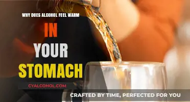 Why Alcohol Feels Warm in Your Stomach: Science Explained