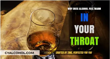 Why Alcohol Feels Warm in Your Throat: Science Explained