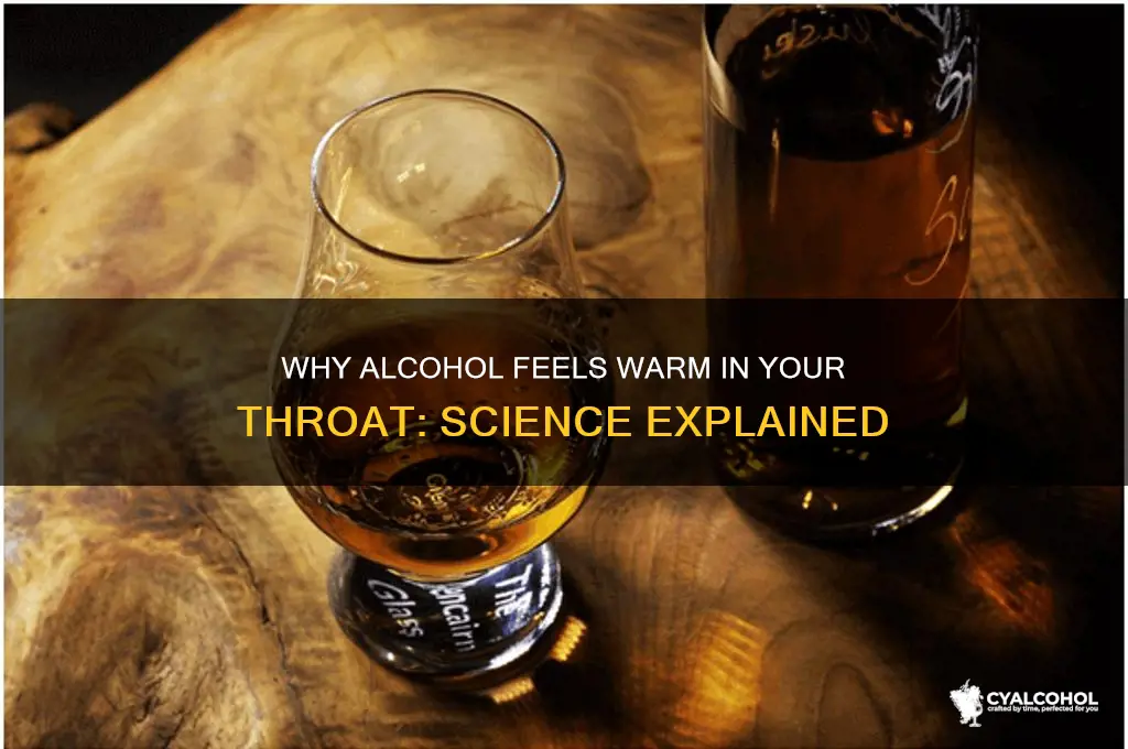 why does alcohol feel warm in your throat