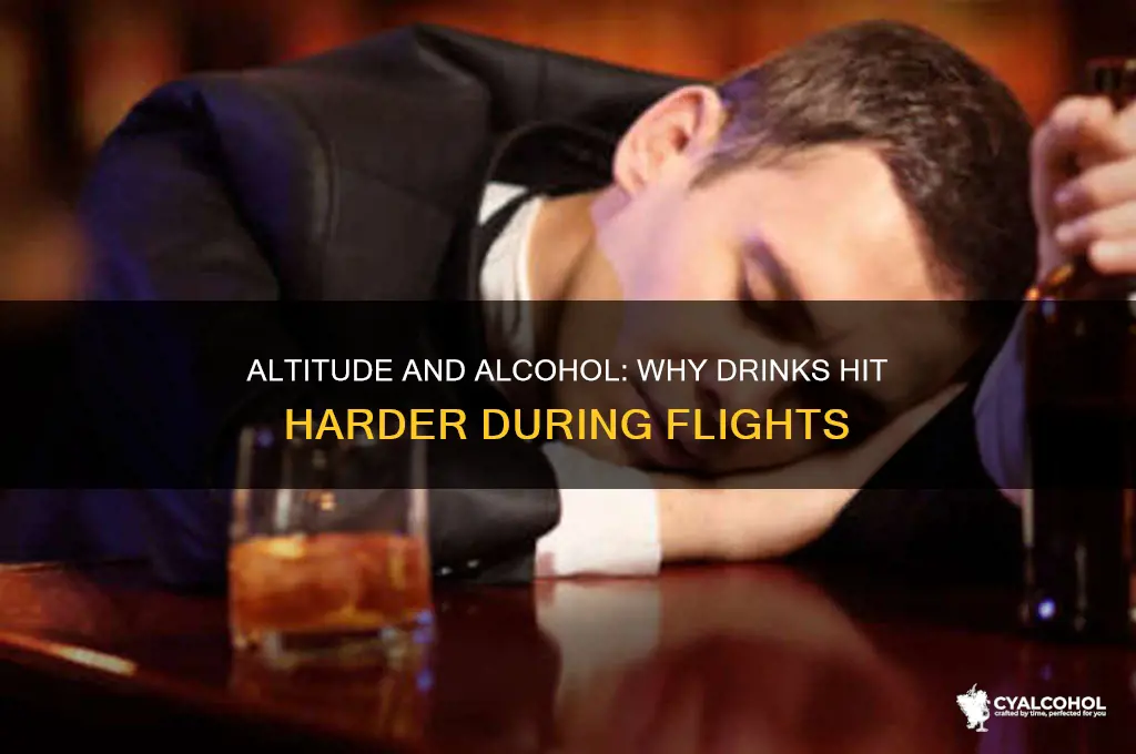 why does alcohol hit harder on a plane