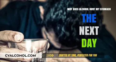 Alcohol's Hangover: Stomach Pain Mystery Explained