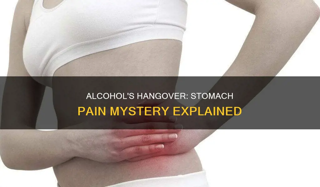 why does alcohol hurt my stomach the next day