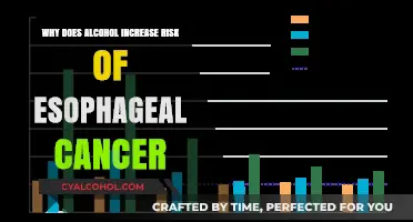 Alcohol's Dark Side: How Drinking Elevates Esophageal Cancer Risk