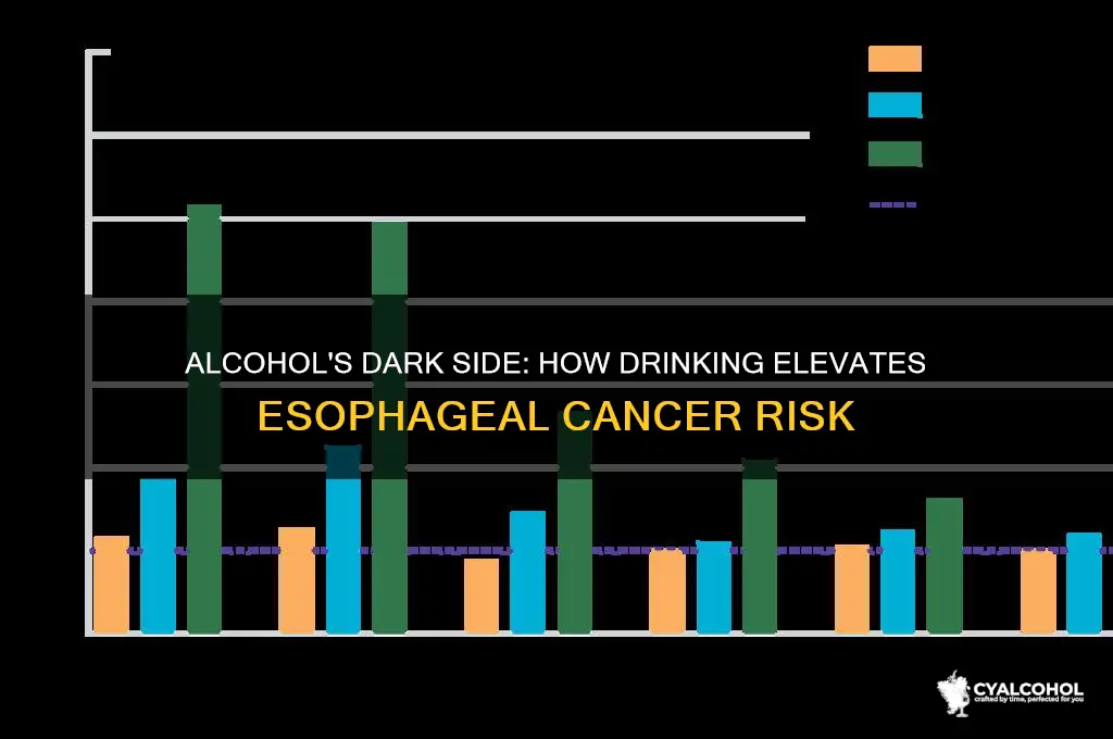 why does alcohol increase risk of esophageal cancer