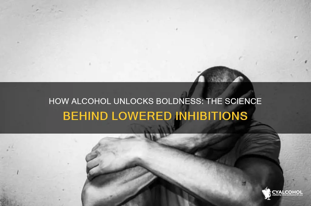 why does alcohol lower inhibitions