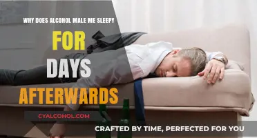 Alcohol's Sleepy Aftermath: Why the Day-After Doze?