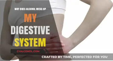 How Alcohol Disrupts Digestion: Understanding Its Impact on Your Gut