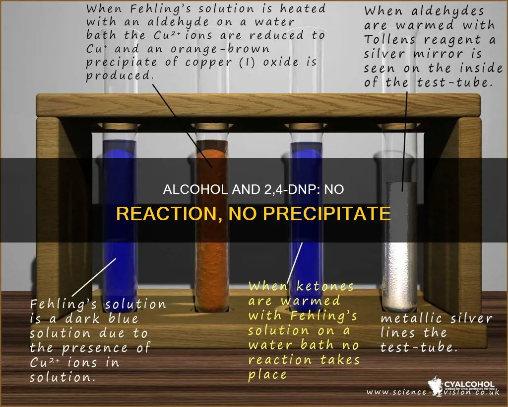 why does alcohol not give precipitate for 2 4 dnp