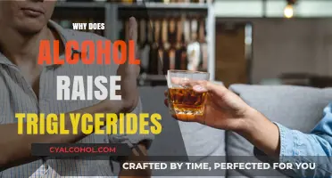 How Alcohol Consumption Increases Triglyceride Levels: Understanding the Connection