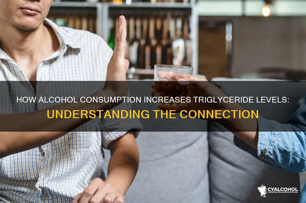 why does alcohol raise triglycerides