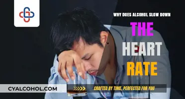 How Alcohol Affects Heart Rate: Understanding the Slowing Mechanism
