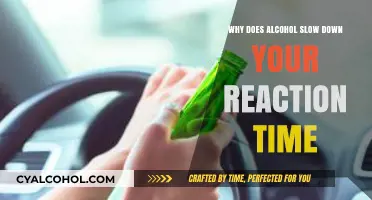 How Alcohol Impairs Your Brain and Slows Reaction Time