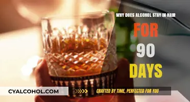 Alcohol in Hair: 90-Day Mystery Solved