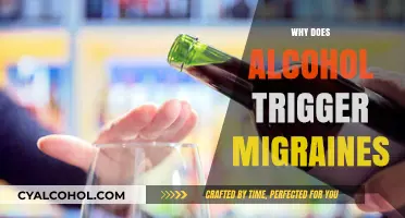 Alcohol and Migraines: Unraveling the Painful Connection Behind Triggers
