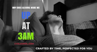 Alcohol and Sleep: Understanding the 3AM Wake-Up Phenomenon
